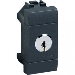 Living Int - Deviatore 1P 16Aa Chiave ( BTICINO cod. L4022 )