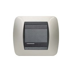 Living Int - Placca 2 Posti Titanio Chiaro ( BTICINO cod. L4802TC )