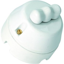 Deviatore Rot.Europa 10A 250V Ce ( LE PROLUNGHE cod. 7501 )