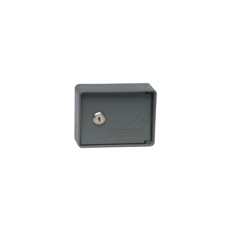 Selettore Esterno 1 Posto ( ZIPPO ELETTRONICA cod. 2055 )