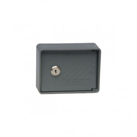 Selettore Esterno 1 Posto ( ZIPPO ELETTRONICA cod. 2055 )