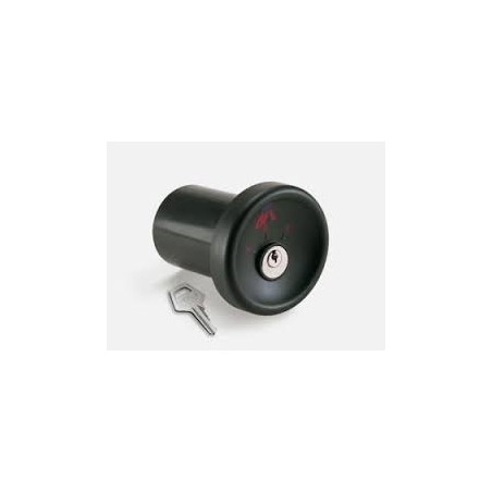 Selettore A Chiave Intro  ( BFT cod. P121011 )