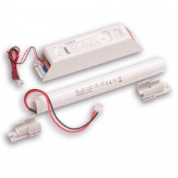 Inverter Led 4W Se/Sa 1H Li-Fe ( LINERGY cod. LI04F10ABR )