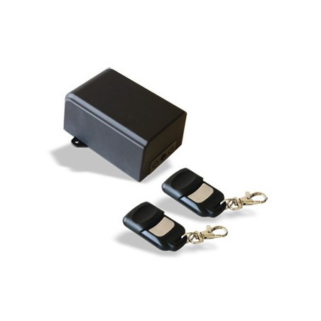 Telecomando Con Centralina Garden Easy Light ( G.B.S ELETTRONICA cod. 2173 )