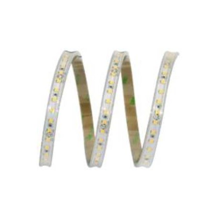 Ledstrip 12W/Mt 24V Bfreddo Ip65 ( ELCART cod. 186176000 )