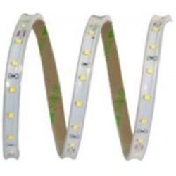 Ledstrip 5W/Mt 24V Bfreddo Ip65 - 6500°K ( ELCART cod. 186093000 )