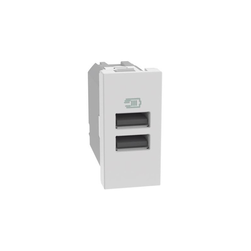 Matixgo - Caricatore Usb Aa 1M Bianco ( BTICINO cod. JW4191AA )