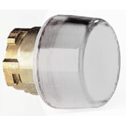 Testa Indicatore Luminoso...