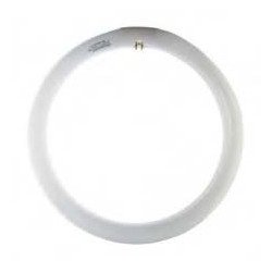 Lampada Fluorescente...